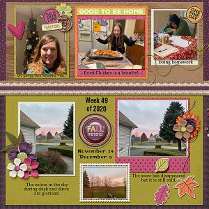 Week 49 of 2020:   Focus on family and weather