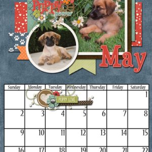 CSIA_DLcalendar
