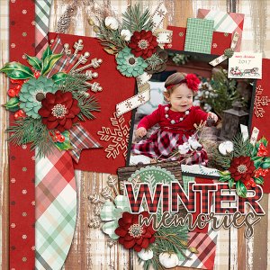 Winter Memories