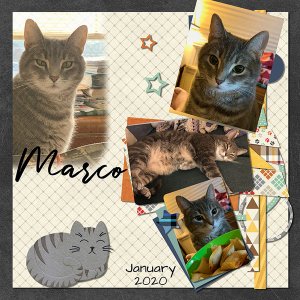 January Marco