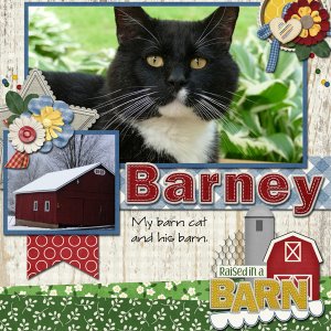 CSIA-barney-web