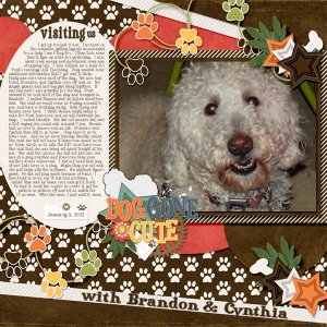 January_5_2021-banner_6-Dog_s_Life