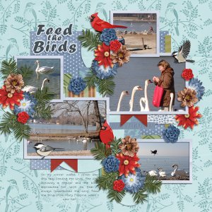 Feed The Birds