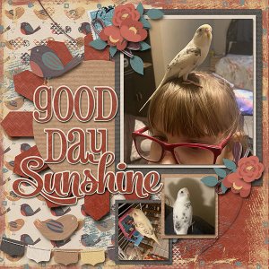 Good day Sunshine