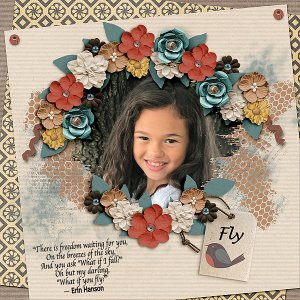 Fly