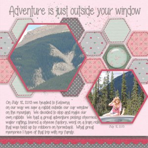 Adventure Outside My Window
