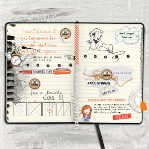 diary