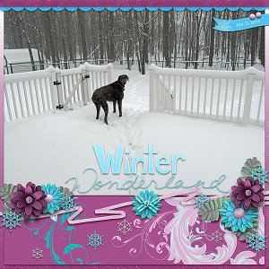 Winter Wonderland
