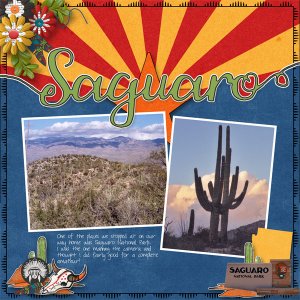 Saguaro National Park