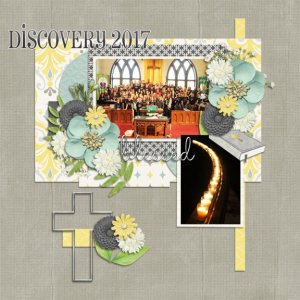 Discovery 2017