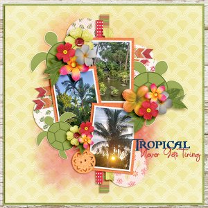 Tropical Never Gets Tiring