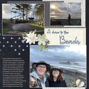 Drive to the Beach