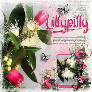 Lillypilly