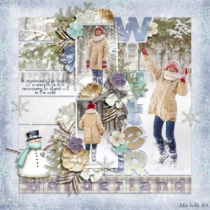winter wonderland
