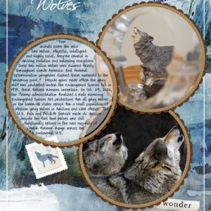 Wolves