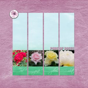 Park of Roses