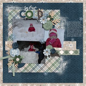 Snow Cold