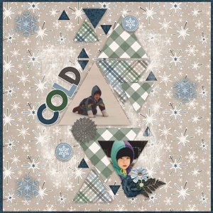 Connie Prince Life Chronicled January 2021 Winter Blues