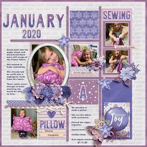 January 2020- pillow