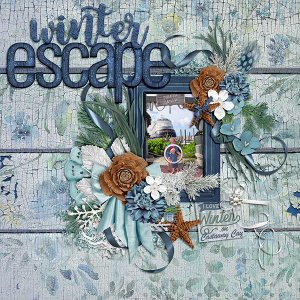 Winter Escape