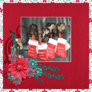 Good Puppies