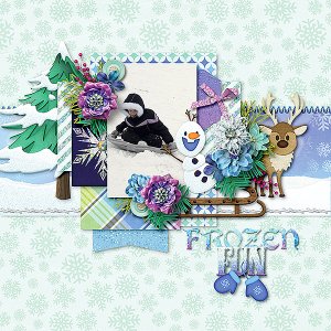 Frozen Fun