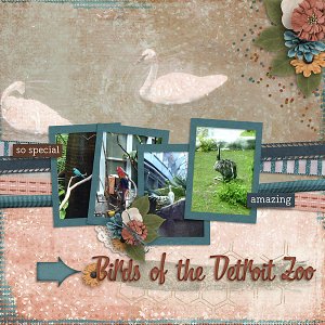 Birds of Detroit