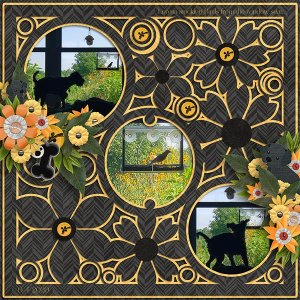 Flower Fever