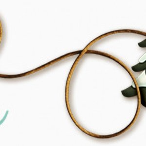January signature