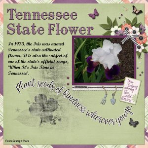 Tennessee State Flower
