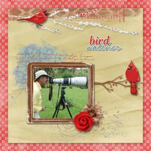 Bird Watcher