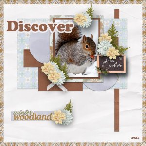Discover