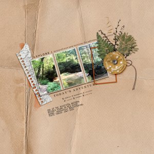 Natural Bridge | July 2020