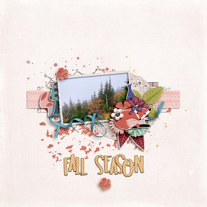 Fall Season