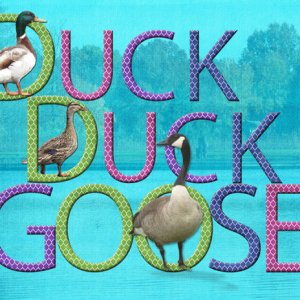 Duck, Duck, Goose