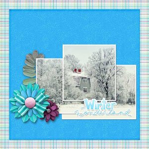 Winter Wonderland
