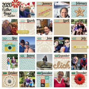 a year of snapshots
