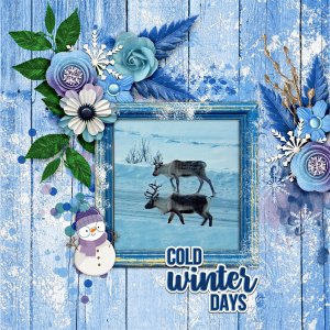 Cold-winter-days