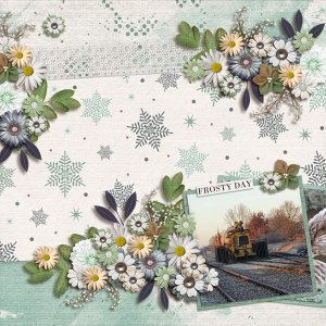 Melanie-Snowflakes-600