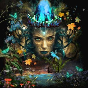 Secret Woodlands