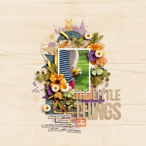 The Little Things