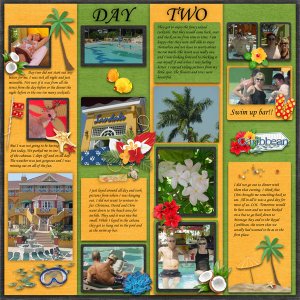 Weekly Write Ups Template #2 -Miss Fish