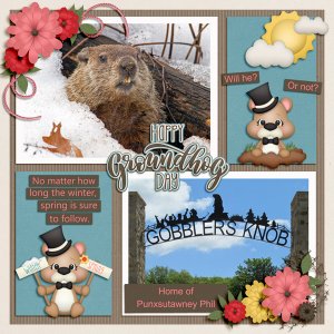 Happy Groundhog Day