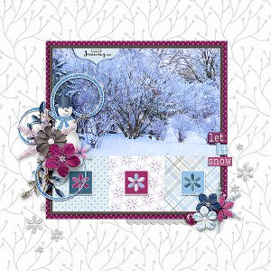 January Snow