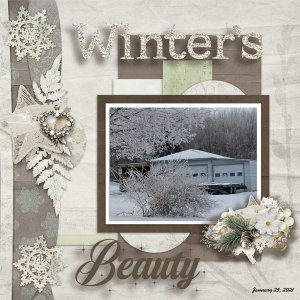 Winter_s_Beauty