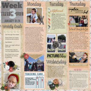 Week 3 2021