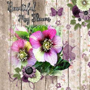 May Flowers
