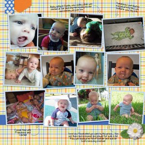 6 Months