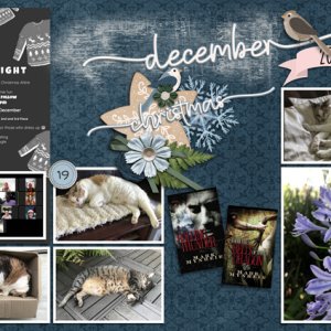 Dec 2020 b