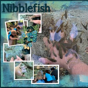 Nibblefish